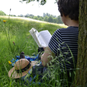 Persona asseguda en un prat amb l'esquena recolzada al tronc d'un arbre llegint