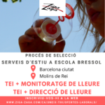 Procés de selecció Serveis d'Estiu a l'Escola Bressol. Barcelona Ciutat i Molins de Rei. TEI + monitoratge de lleure / TEI + direcció de lleure. inscriviu-vos-hi a la web